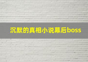 沉默的真相小说幕后boss