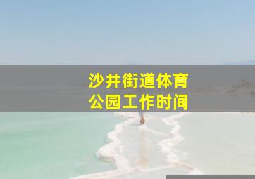 沙井街道体育公园工作时间