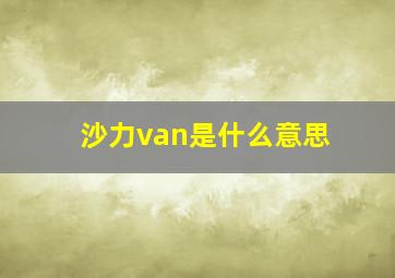 沙力van是什么意思