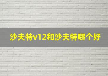 沙夫特v12和沙夫特哪个好