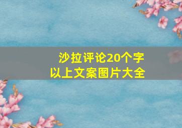 沙拉评论20个字以上文案图片大全