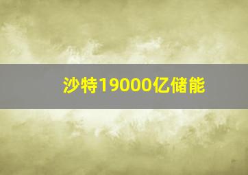 沙特19000亿储能