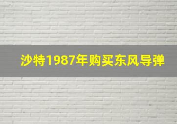 沙特1987年购买东风导弹