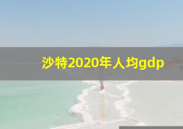 沙特2020年人均gdp