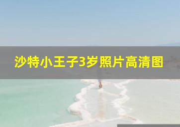 沙特小王子3岁照片高清图