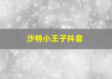 沙特小王子抖音