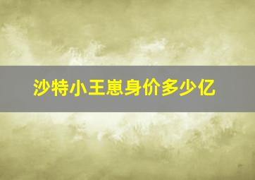 沙特小王崽身价多少亿