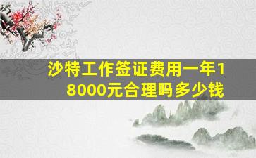 沙特工作签证费用一年18000元合理吗多少钱