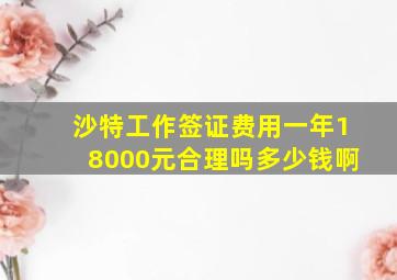 沙特工作签证费用一年18000元合理吗多少钱啊