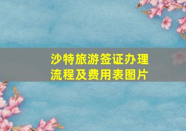 沙特旅游签证办理流程及费用表图片