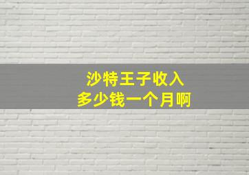 沙特王子收入多少钱一个月啊