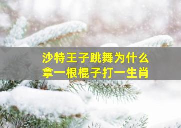 沙特王子跳舞为什么拿一根棍子打一生肖