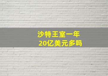 沙特王室一年20亿美元多吗