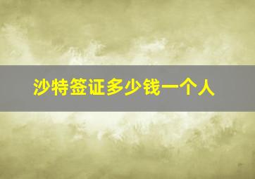 沙特签证多少钱一个人