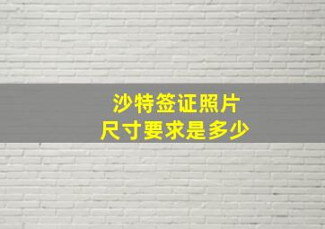 沙特签证照片尺寸要求是多少