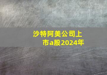 沙特阿美公司上市a股2024年