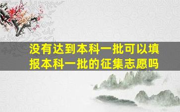 没有达到本科一批可以填报本科一批的征集志愿吗