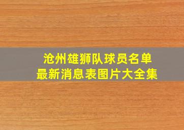 沧州雄狮队球员名单最新消息表图片大全集