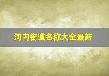 河内街道名称大全最新