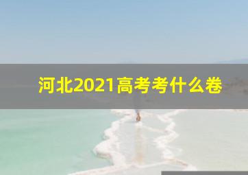 河北2021高考考什么卷