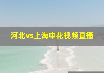 河北vs上海申花视频直播