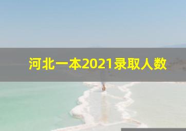 河北一本2021录取人数