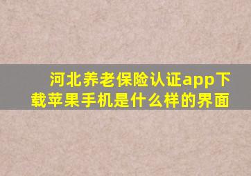 河北养老保险认证app下载苹果手机是什么样的界面