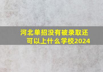 河北单招没有被录取还可以上什么学校2024