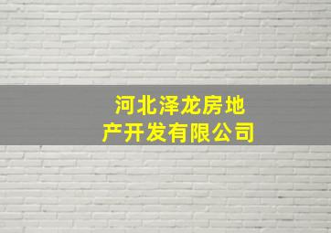 河北泽龙房地产开发有限公司