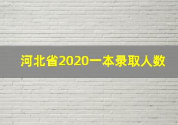 河北省2020一本录取人数