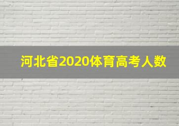 河北省2020体育高考人数