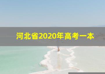 河北省2020年高考一本