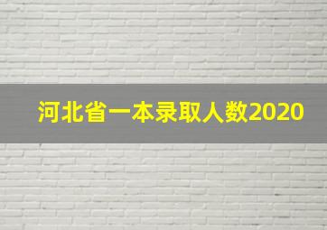 河北省一本录取人数2020