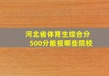 河北省体育生综合分500分能报哪些院校