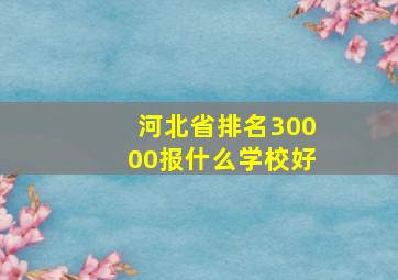 河北省排名30000报什么学校好