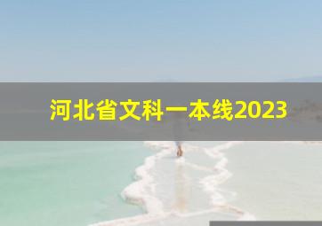 河北省文科一本线2023