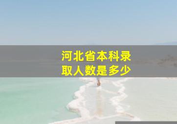 河北省本科录取人数是多少