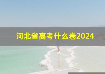 河北省高考什么卷2024