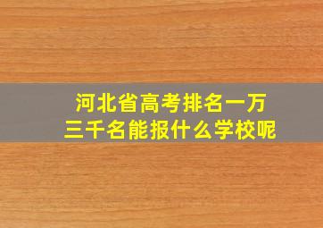 河北省高考排名一万三千名能报什么学校呢