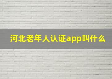 河北老年人认证app叫什么