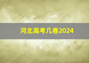 河北高考几卷2024