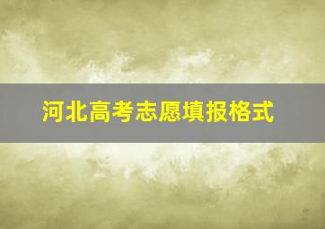 河北高考志愿填报格式