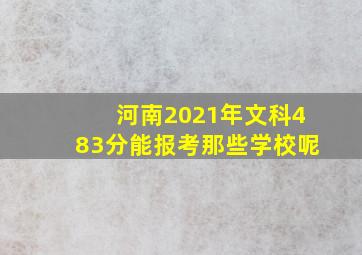 河南2021年文科483分能报考那些学校呢