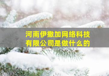 河南伊撒加网络科技有限公司是做什么的