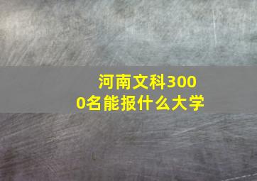 河南文科3000名能报什么大学