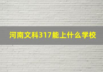 河南文科317能上什么学校