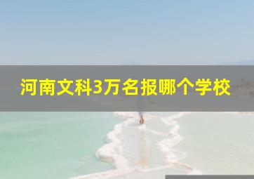 河南文科3万名报哪个学校