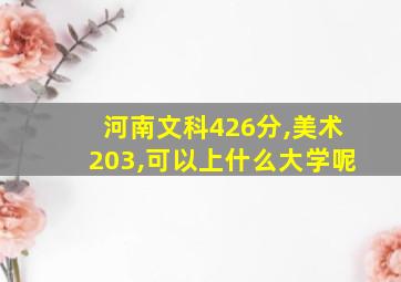 河南文科426分,美术203,可以上什么大学呢