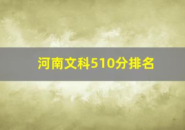 河南文科510分排名