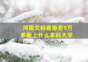 河南文科省排名9万多能上什么本科大学